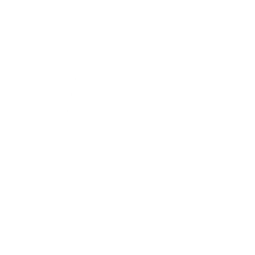 Fundación foro región central